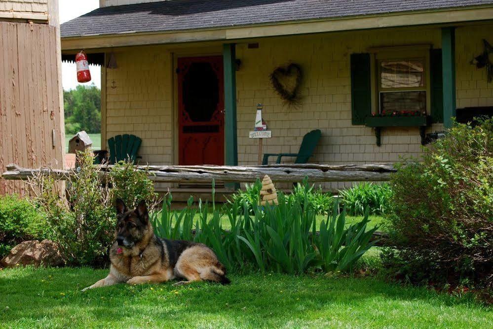 Bugaboo Cottages Bedeque 外观 照片